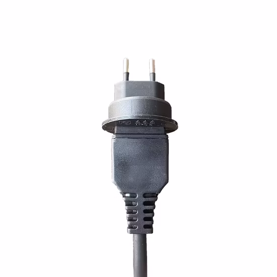 Swiss 2 Pin Plug Power Cord